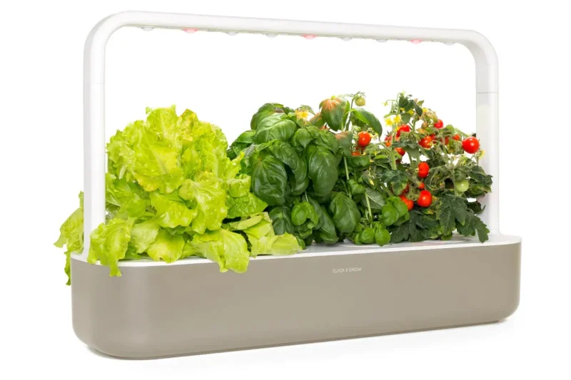 click grow smart garden 9 beige grow fresh herbs indoors