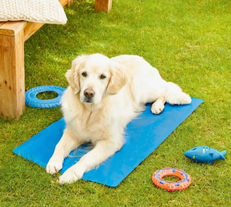 dog cooling mat keep your pet comfortable