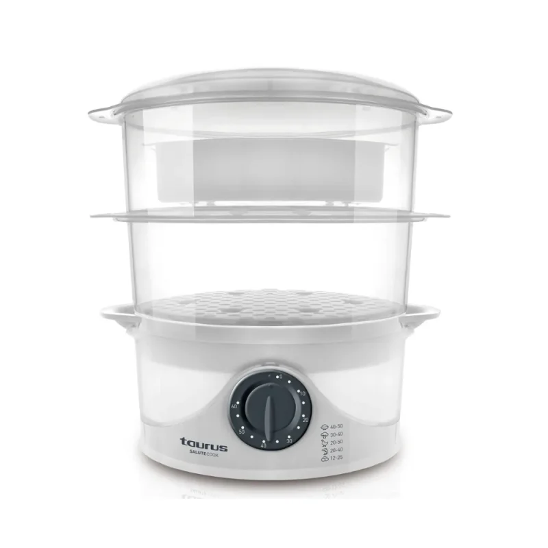 electric food steamer for healthy meals