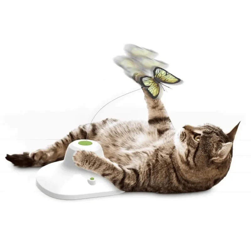 interactive butterfly cat toy fun engaging